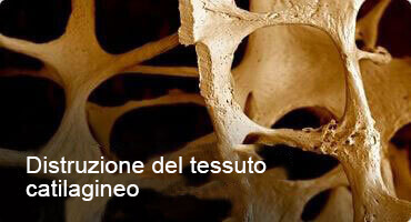 HONDRO SOL DOVE ACQUISTARE